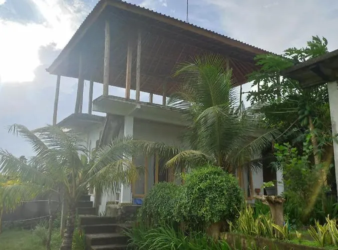 The Nyamo Surfschool &
