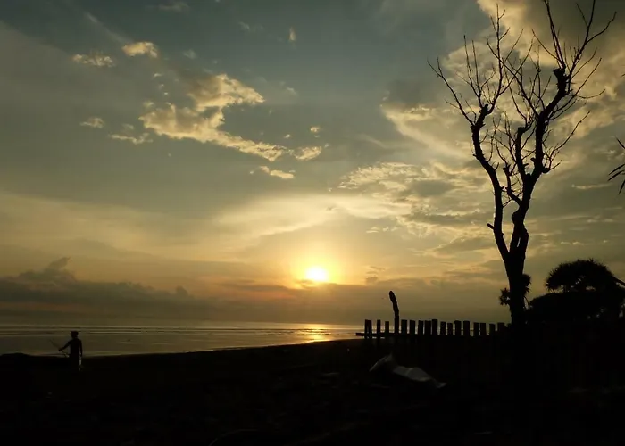 The Nyamo Surfschool & Pulukan