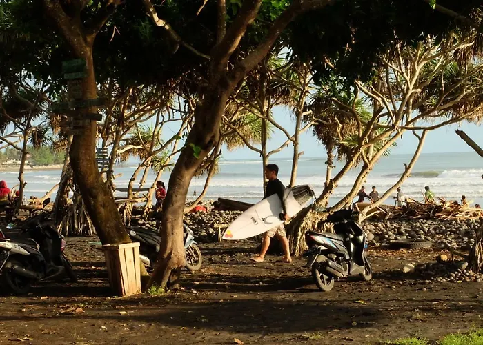 ゲストハウス The Nyamo Surfschool & 2*